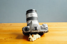 画像をギャラリービューアに読み込む, PENTAX MZ-7【完動品】【実写済み❗️】