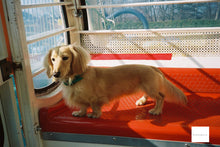 画像をギャラリービューアに読み込む, Minolta Capios115s【完動品】