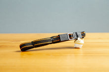 画像をギャラリービューアに読み込む, Canon AF35M【完動品】