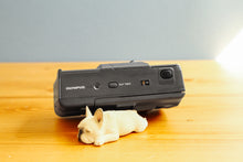 画像をギャラリービューアに読み込む, OLYMPUS AF-1【完動品】