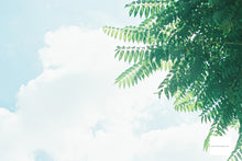 画像をギャラリービューアに読み込む, PENTAX Program A【完動品】