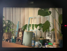 画像をギャラリービューアに読み込む, Nikon FM(SV)【完動品】露出計が簡単❗️初心者の方にもおすすめカメラ◎