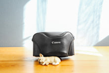 画像をギャラリービューアに読み込む, Canon Autoboy SII 【完動品】【美品❗️】