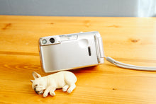 画像をギャラリービューアに読み込む, Canon Autoboy N150【完動品】【美品❗️】