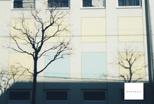 画像をギャラリービューアに読み込む, OLYMPUS OZ130【完動品】【実写済み】