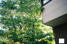 画像をギャラリービューアに読み込む, Konica EF3D【完動品】