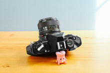 画像をギャラリービューアに読み込む, Canon AE-1PROGRAM(BK)【完動品】