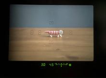 画像をギャラリービューアに読み込む, Canon EOS kiss5【完動品】