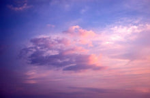 画像をギャラリービューアに読み込む, FUJIFILM Velvia50(35mmフィルム)ポジ・リバーサルフィルム 24枚撮り 【期限切れ】