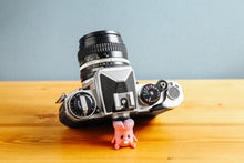 画像をギャラリービューアに読み込む, Nikon FE【完動品】