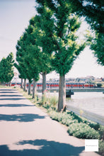 画像をギャラリービューアに読み込む, Canon EOS7【完動品】2本レンズ付き❗️