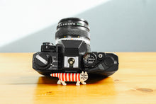 画像をギャラリービューアに読み込む, 【のろはる様】専用 OLYMPUS OM-10(BK)【完動品】