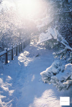 画像をギャラリービューアに読み込む, RAINBOW ROAD 200T 35mmカラーフィルム 36枚撮り ECN-2現像【海外フィルム✈️】