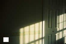 画像をギャラリービューアに読み込む, JCPenney Multi-Coated Optics 28mmF2.8(OMマウント)【完動品】【実写済み❗️】