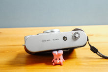 画像をギャラリービューアに読み込む, Minolta Prod20's【完動品】