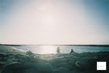 画像をギャラリービューアに読み込む, OLYMPUS TRIP AF【完動品】