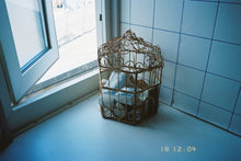 Load image into Gallery viewer, NEVO400 (35mm film) Color negative film 24 shots
