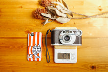 画像をギャラリービューアに読み込む, Minolta Prod20's【完動品】