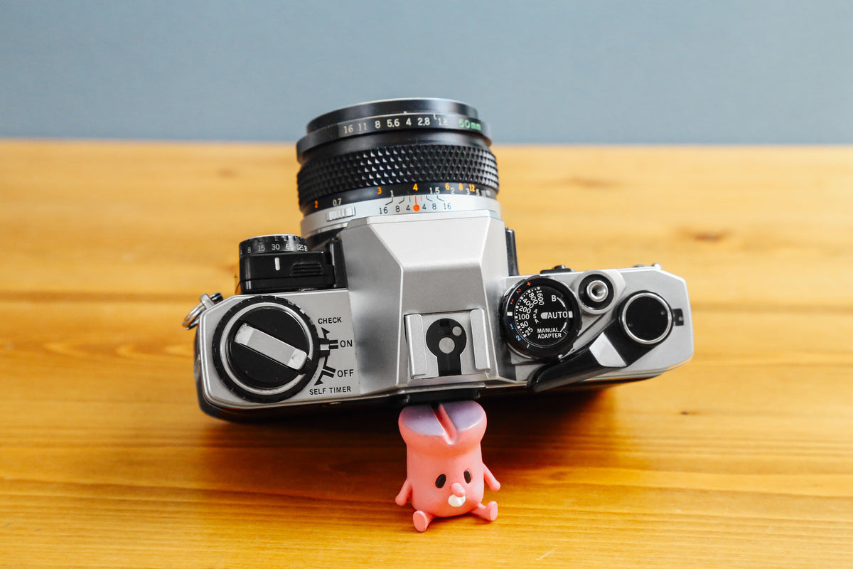 OLYMPUS OM-10【完動品】 – Ein Camera