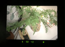 画像をギャラリービューアに読み込む, Canon kiss5【完動品】【美品】