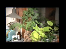 画像をギャラリービューアに読み込む, Canon AE-1PROGRAM【完動品】