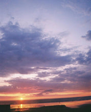 画像をギャラリービューアに読み込む, Minolta F35 Big Finder【完動品】【未使用❗️】