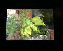 画像をギャラリービューアに読み込む, CONTAX ARIA【極美品❗️】【実写済み】【完動品】