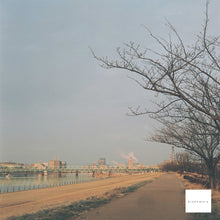 画像をギャラリービューアに読み込む, Minolta AUTOCORD【完動品】【実写済み❗️】中判カメラ