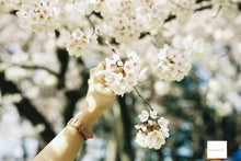 画像をギャラリービューアに読み込む, Canon EOS7【完動品】2本レンズ付き❗️