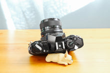 画像をギャラリービューアに読み込む, Canon AE-1PROGRAM(BK)【完動品】 選べるレンズセット❗️