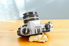 画像をギャラリービューアに読み込む, Nikon FG【完動品】