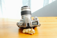 画像をギャラリービューアに読み込む, Nikon U2【完動品】