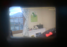 Load image into Gallery viewer, FLASH FUJICA