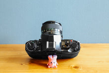 画像をギャラリービューアに読み込む, Canon A-1
