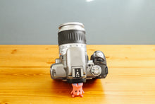 画像をギャラリービューアに読み込む, Canon EOS Kiss7【完動品】