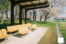 画像をギャラリービューアに読み込む, Nikon Zoom310AF【完動品】