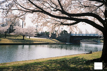 画像をギャラリービューアに読み込む, OLYMPUS Citia160【完動品】