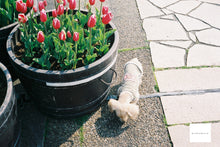 画像をギャラリービューアに読み込む, OLYMPUS Citia160【完動品】