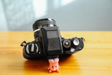 画像をギャラリービューアに読み込む, Nikon F3HP【完動品】【Nikonサービス点検済み】