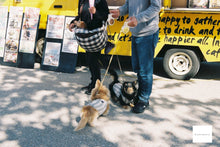 画像をギャラリービューアに読み込む, Nikon Zoom 310AF【完動品】