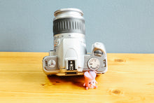 画像をギャラリービューアに読み込む, Canon EOS kiss5