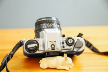 画像をギャラリービューアに読み込む, PENTAX PROGRAM A パンダカラー🐼【希少❗️】【完動品】選べるレンズセット❗️
