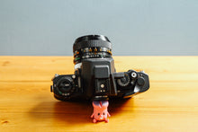 画像をギャラリービューアに読み込む, Canon New F-1【完動品】【実写済み❗️】