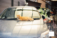 画像をギャラリービューアに読み込む, FUJIFILM SUPER145AZ【完動品】