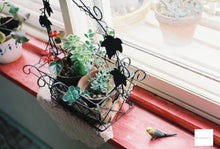 画像をギャラリービューアに読み込む, My Heart 5207 Film ASA(ISO)250 35mmカラーフィルム 36枚撮り ECN-2現像【海外フィルム✈️】