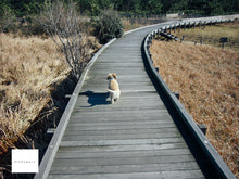 画像をギャラリービューアに読み込む, LEICA C-LUX1【完動品】【実写済み❗️】