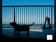 画像をギャラリービューアに読み込む, LEICA C-LUX1【完動品】【実写済み❗️】