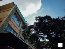 画像をギャラリービューアに読み込む, Panasonic LUMIX DMC-XS1【完動品】【実写済み❗️】▪️オールドコンデジ▪️デジタルカメラ