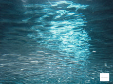 画像をギャラリービューアに読み込む, Panasonic D-snap SV-AS3【完動品】【美品❗️】【希少❗️】ブルー▪️オールドコンデジ▪️デジタルカメラ