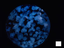 画像をギャラリービューアに読み込む, Panasonic D-snap SV-AS3【完動品】【美品❗️】【希少❗️】ブルー▪️オールドコンデジ▪️デジタルカメラ